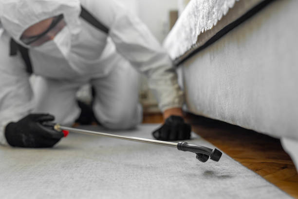 Professional Cockroach Control technician working in Hawaiian Gardens, CA