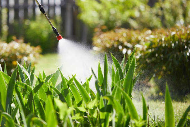 24/7 Emergency Cockroach Control experts in Hawaiian Gardens, CA